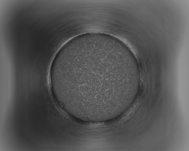 X0000101990887200808011059