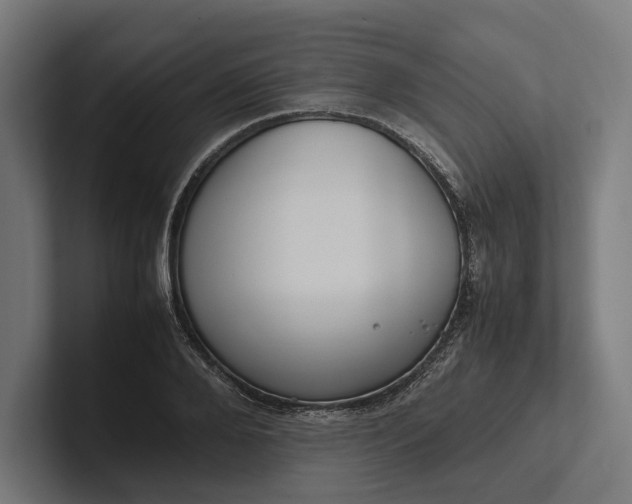 X0000101990888200808011059