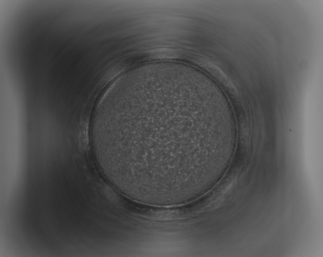 X0000101990889200808011059