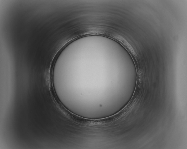 X0000101990890200808011059