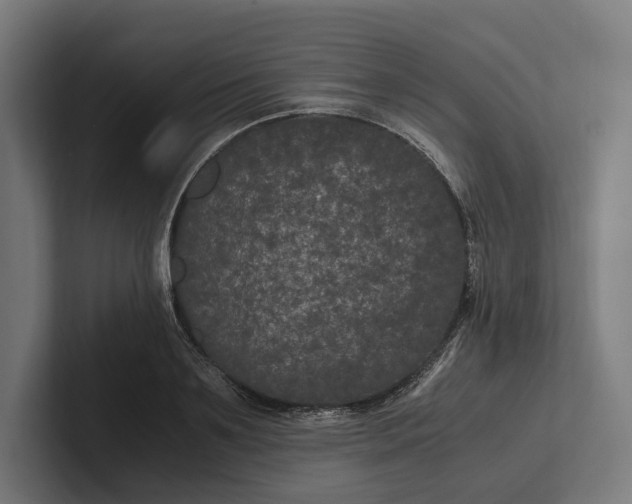 X0000101990891200808011059