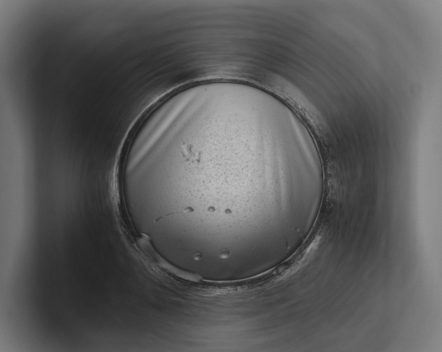 X0000101990892200808011059