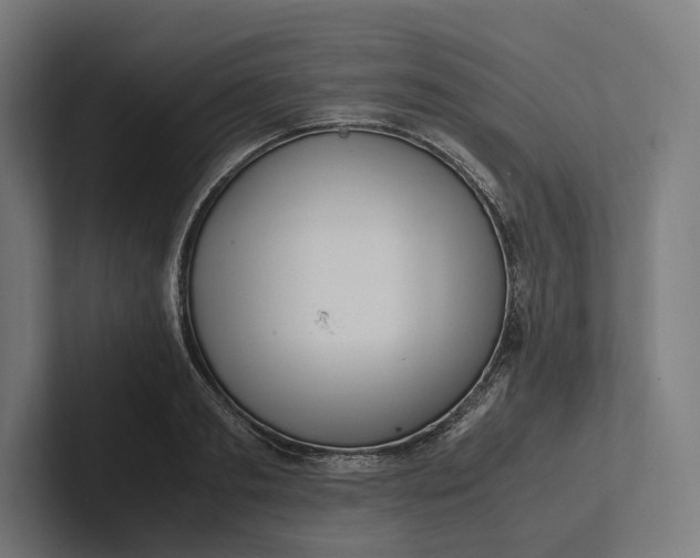 X0000101990893200808011059