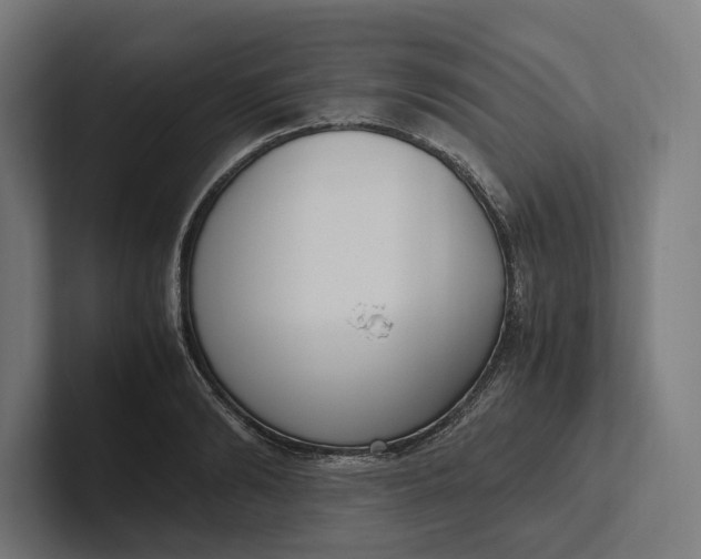 X0000101990894200808011059