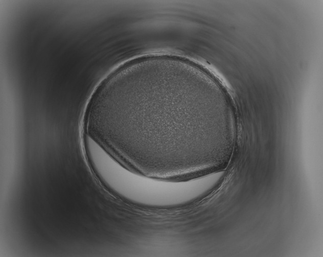 X0000101990895200808011059