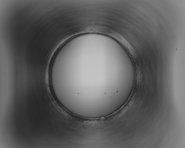 X0000101990896200808011059