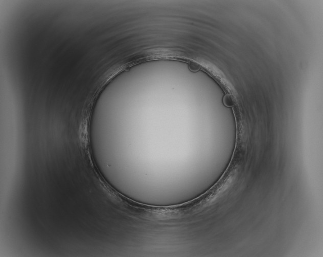 X0000101990897200808011059