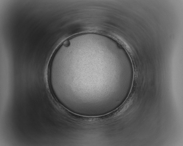 X0000101990899200808011059