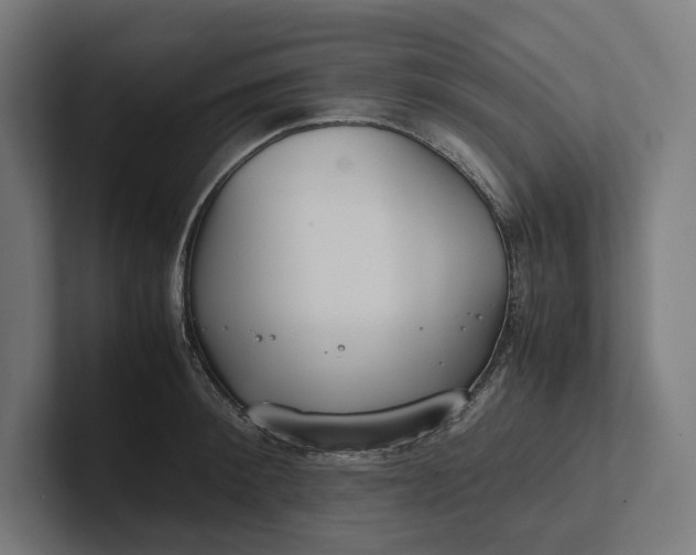 X0000101990900200808011059