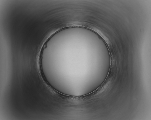 X0000101990901200808011059