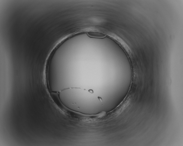 X0000101990902200808011059