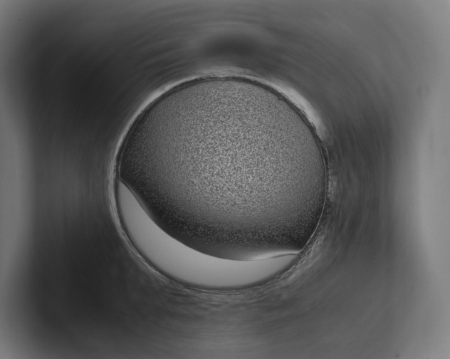 X0000101990903200808011059