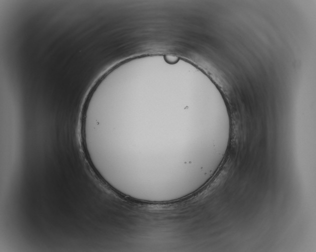 X0000101990904200808011058