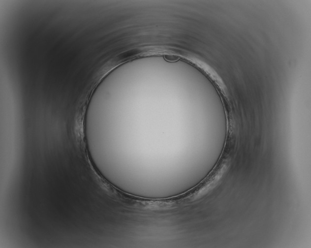 X0000101990905200808011058