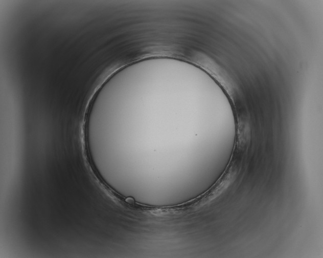 X0000101990906200808011058