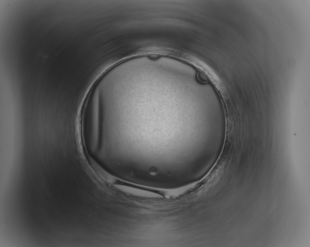 X0000101990907200808011058