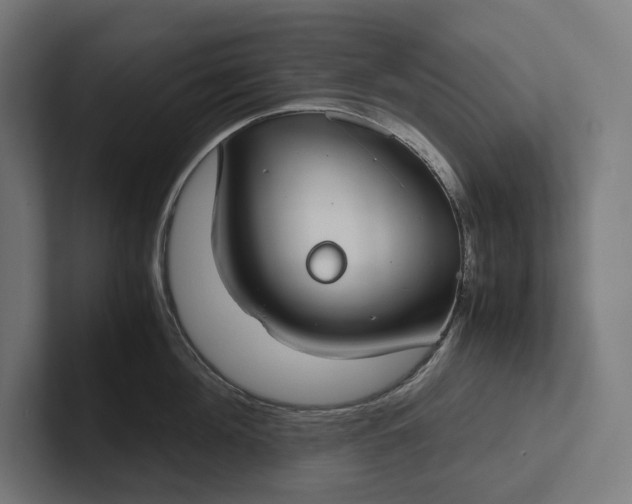 X0000101990908200808011058