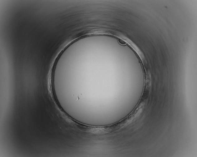 X0000101990909200808011058