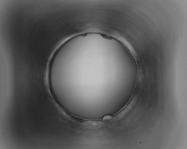 X0000101990910200808011058