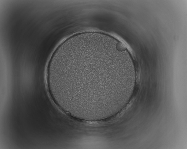 X0000101990911200808011058