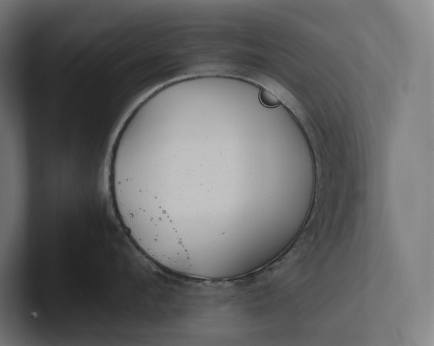 X0000101990912200808011058