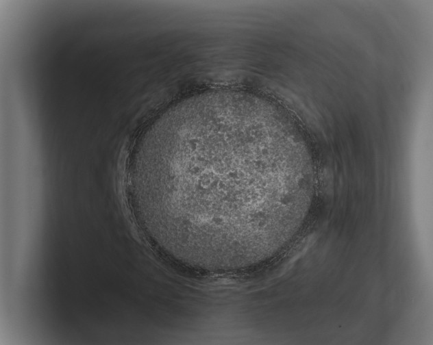 X0000101990913200808011058