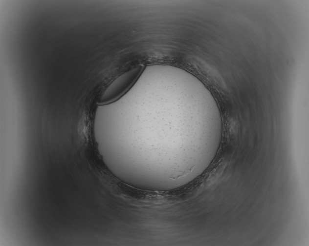 X0000101990914200808011058