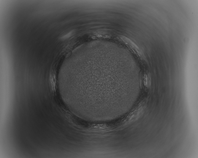 X0000101990915200808011058