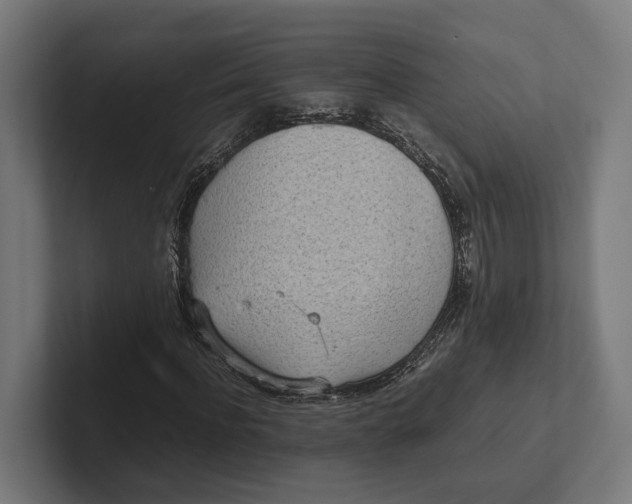 X0000101990916200808011058