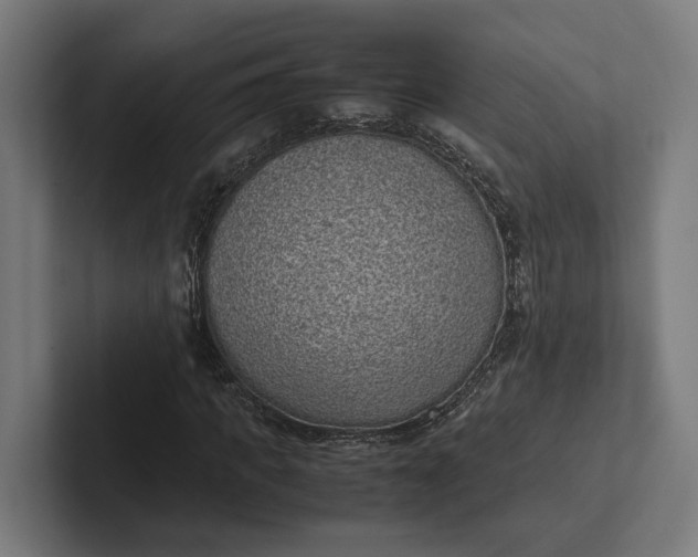 X0000101990917200808011058