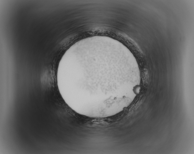 X0000101990918200808011058