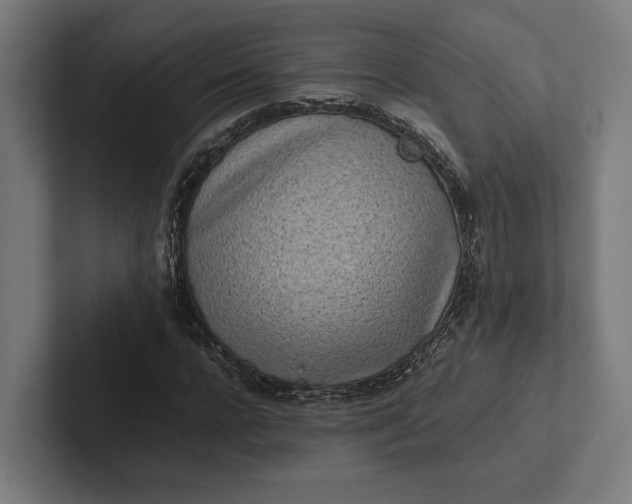 X0000101990920200808011058