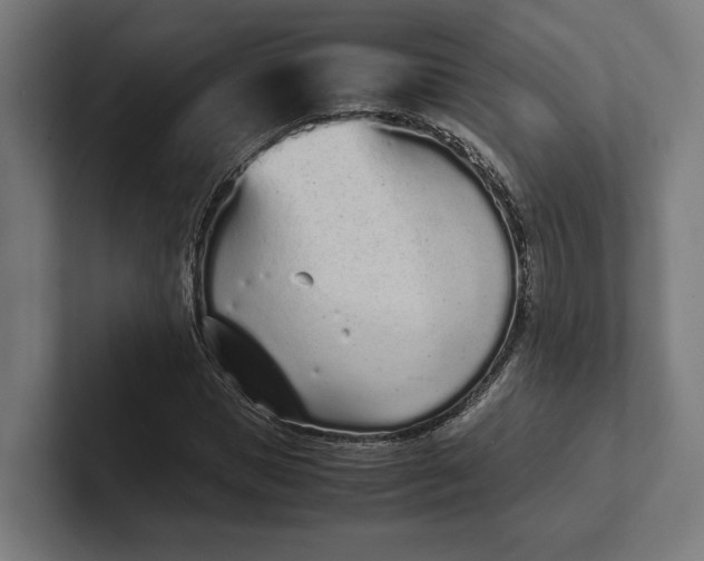 X0000101990921200808011058