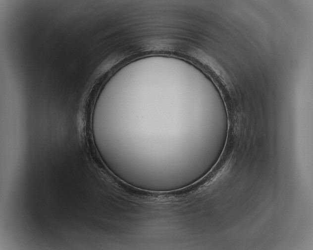 X0000101990922200808011058