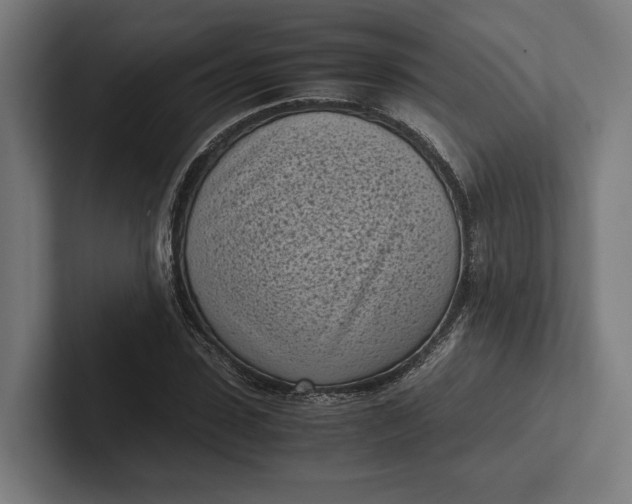 X0000101990923200808011058