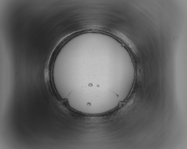 X0000101990924200808011058