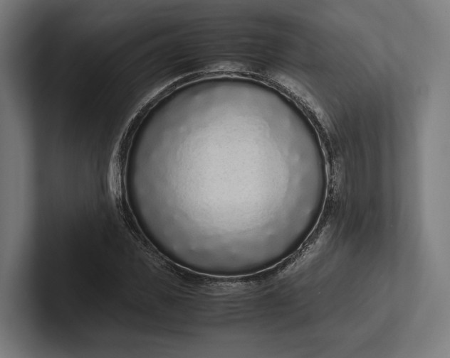 X0000101990925200808011058