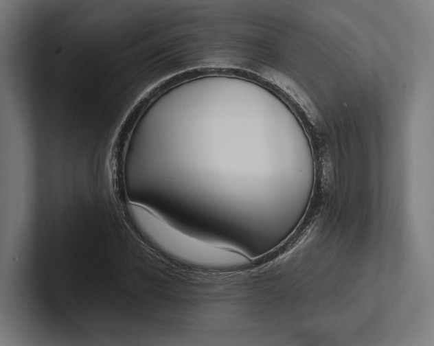 X0000101990926200808011058