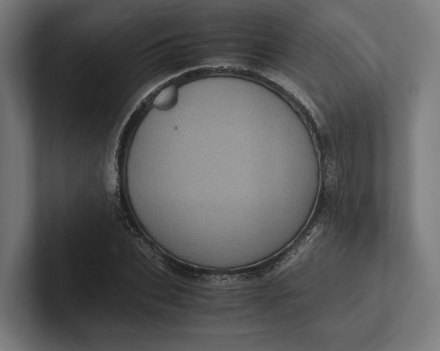 X0000101990927200808011058