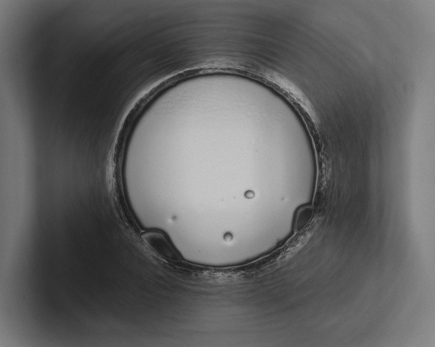 X0000101990928200808011058