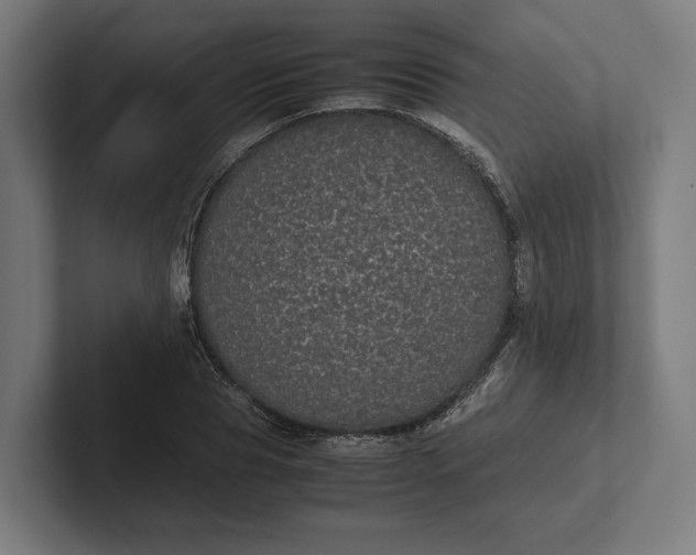 X0000101990929200808011058