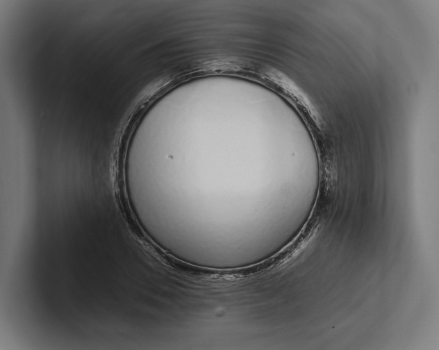 X0000101990930200808011058