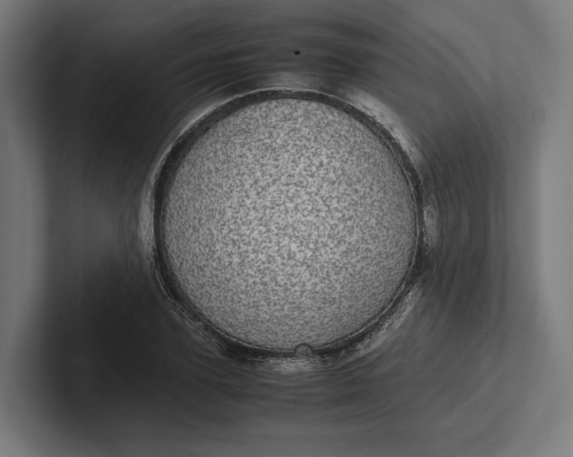 X0000101990931200808011058