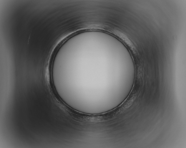 X0000101990936200808011058