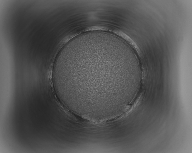 X0000101990937200808011058