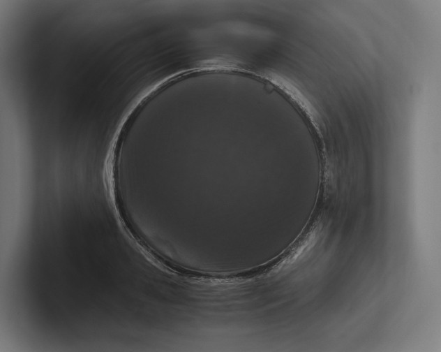 X0000101990941200808011058