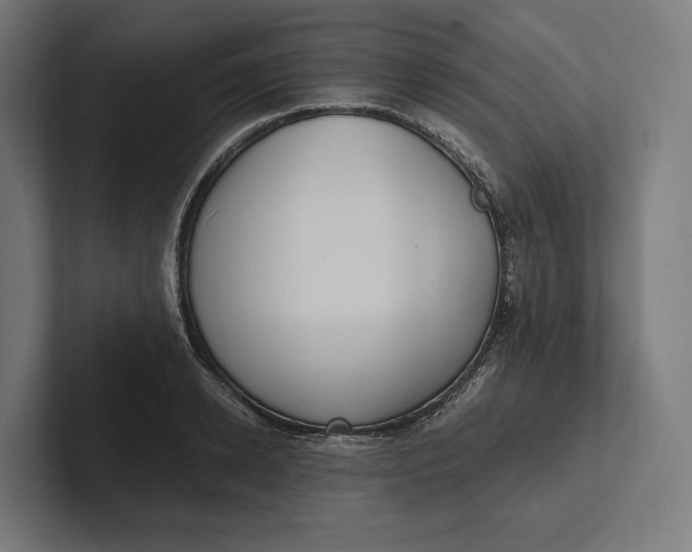 X0000101990942200808011058