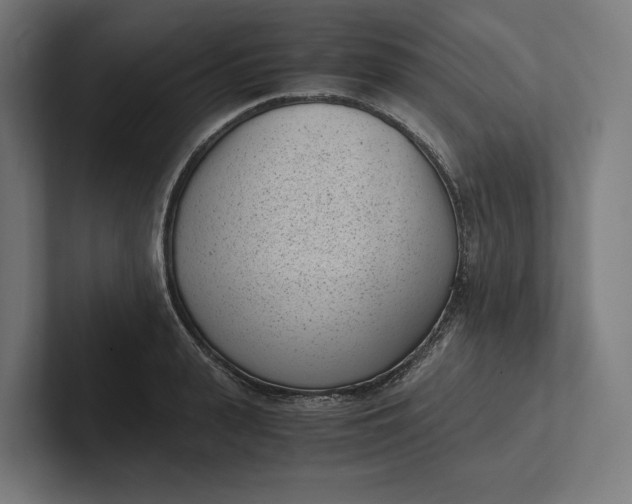 X0000101990943200808011058