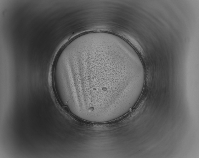 X0000101990944200808011058