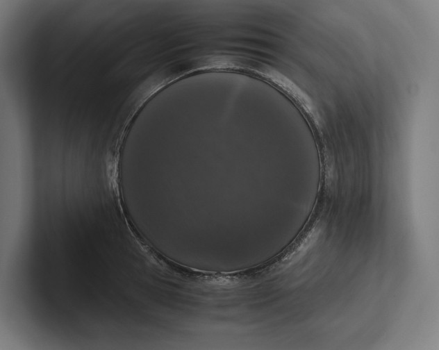 X0000101990945200808011058